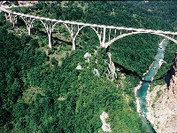 793402_mostnataripljevljajpg