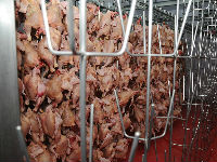Problem piletina iz uvoza