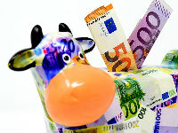 862320_piggy-bank-3131032960720jpg