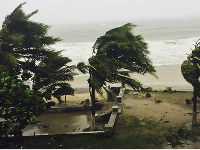 882536_oluja-bali-betajpg