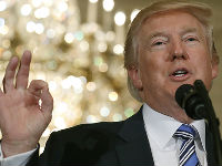 883457_donald-traamp-beta-2jpg