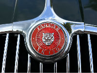888292_jaguar-2714036960720jpg