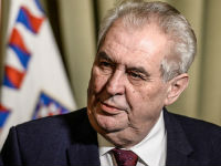 919363_milo-zeman-betajpg