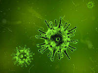 923201_virus-1812092960720jpg