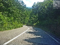 935270_1jpg