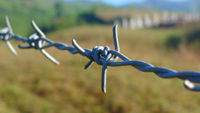 970261_barbed-wire-114500960720jpg