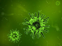 1003295_virus-1812092340jpg