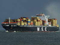 1014681_msc-martajpg