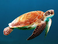 1028120_untitledjpg