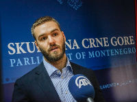1031155_nikola-aajpg