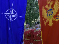 1045459_cg-nato-betajpg