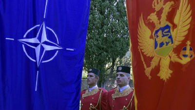1045460_cg-nato-betajpg