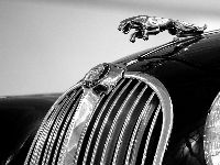 1049236_car-17307781920jpg