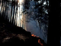 1056200_novoaoaooapng