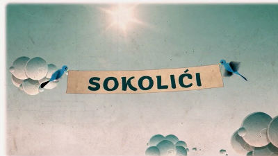 1062532_sokolicijpg