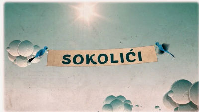 1068356_sokolicijpg