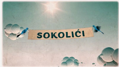 Sokolići - Strategija
