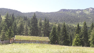 1084391_hajlajpg