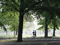 1088699_jogging-4211946960720jpg