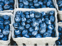 1092264_blueberry-1326154960720jpg
