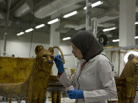 1098405_ccc074b7jpg
