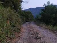 1108851_ll-1jpg
