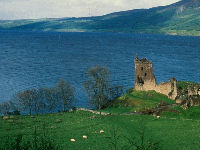 1110262_782d9cd3jpg