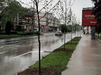 1223281_img5902-475x1030jpg
