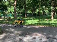 Pas robot zadužen za poštovanje distance u parku