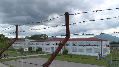 1228286_ziks-rtcg-2png