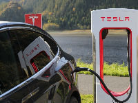 1228480_tesla-1738969960720jpg