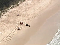 Velika bijela ajkula ubila surfera u Australiji