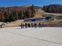 1240458_kolaapng
