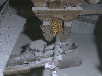 1243402_milica-stijepovic-vodenicatransferframe173jpeg