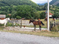 1257997_2jpg