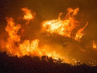 Evakuisano osam hiljada osoba zbog požara 