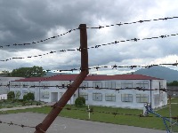 ziks-rtcg-2.png