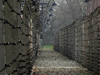 Sjećanje na žrtve holokausta u Aušvicu samo onlajn 