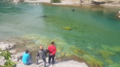 Beživotno tijelo muškarca izvukli iz Morače 2039747337703067769883253474235805412531943n.jpg