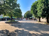 img7555.jpeg
