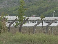Mještani blokirali farmu svinja "Niksen-Čavor"