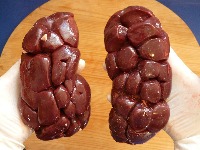 beef-kidney-g0c61e4b851280.jpg