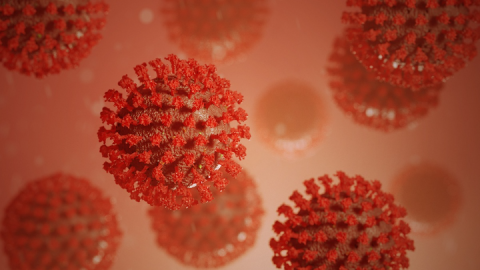 U Andrijevici najviše aktivnih slučajeva infekcije korona virusom