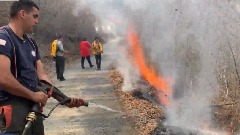 Kolašinski vatrogasci spriječili da vatra pređe tunel 27