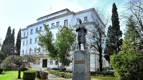 SNP: Posao uklanjanja stabala sa Gorice dobila privatna firma glavni-grad-rtcg.jpg