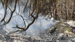 Požar u okolini Tivta lokalizovan