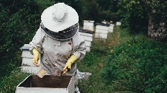 Počeo terenski dio izrade katastra pčelinjaka