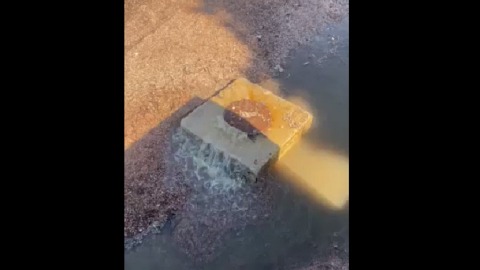 Na plaži u Petrovcu se izliva kanalizacija xxxxxxxxxxxxxxxxxxxxxxxxxxx.jpg