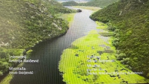 2807776263341819521883921871781022004254075n-1.jpg