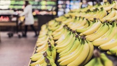 Više od 800 kg kokaina pronađeno među bananama u supermarketima